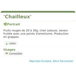 Fiche descriptive de Chailleux