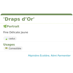 Fiche descriptive de Draps dOr