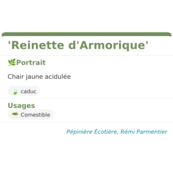 Fiche descriptive de Reinette dArmorique