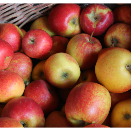 Photo d'un Reinette d'Anjou Chair fine acidulée