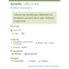Fiche descriptive de Aneth officinale