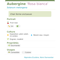  feuillage décoratif