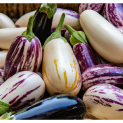  feuillage décoratif