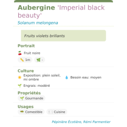  feuillage décoratif