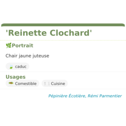 Fiche descriptive de Reinette Clochard