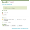 Fiche descriptive de Basilic tulsi