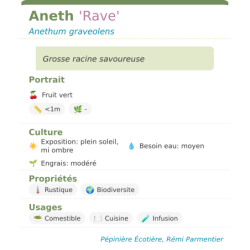 Fiche descriptive de Aneth Rave