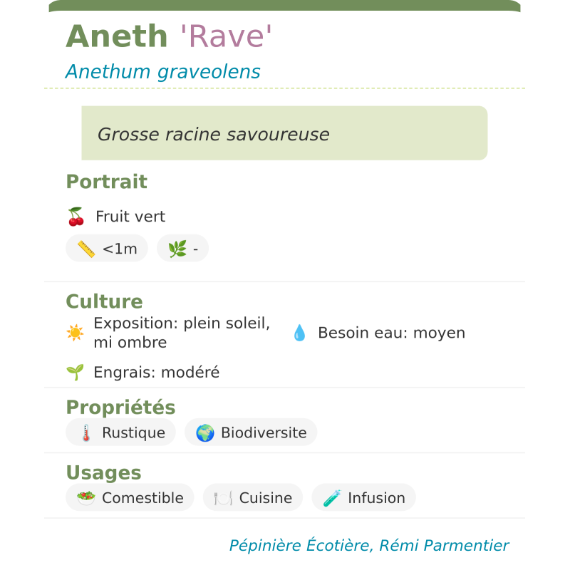 Fiche descriptive de Aneth Rave