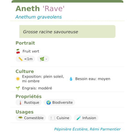 Fiche descriptive de Aneth Rave
