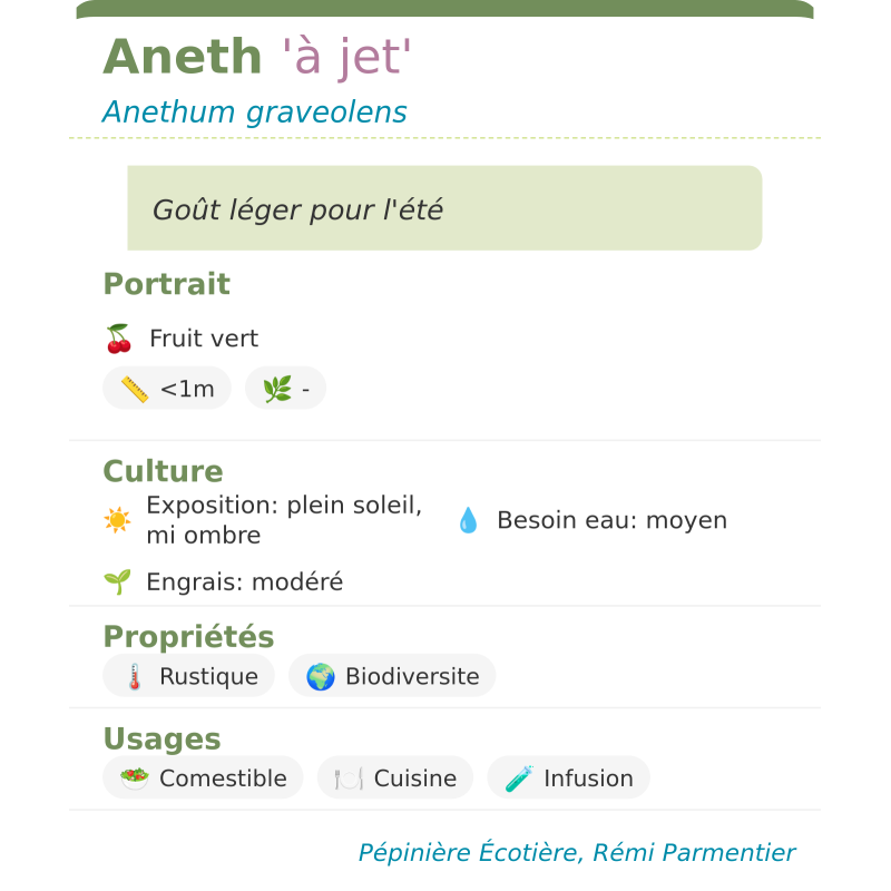 Fiche descriptive de Aneth à jet