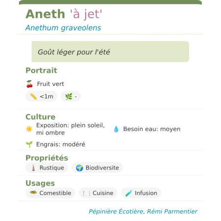 Fiche descriptive de Aneth à jet