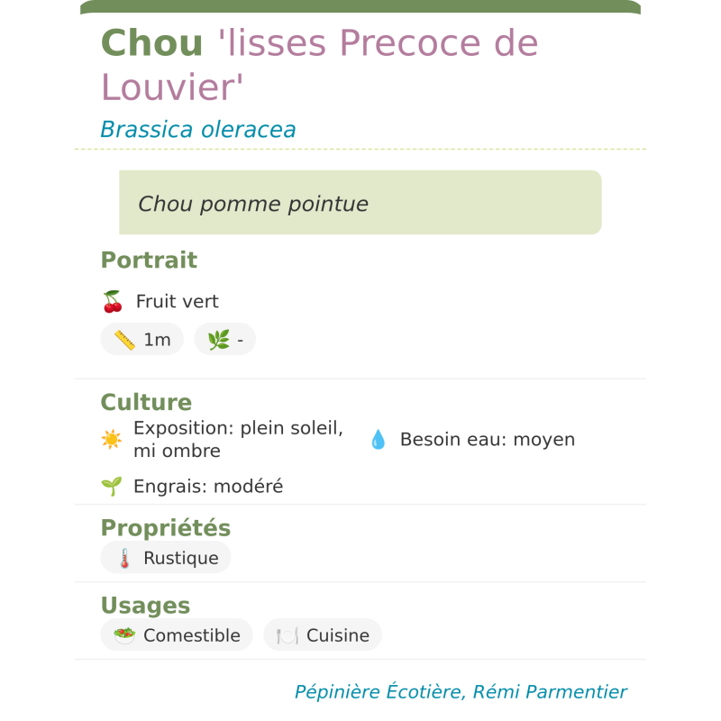 Fiche descriptive de Chou lisses Precoce de Louvier