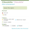 Fiche descriptive de Ciboulette Ciboulette