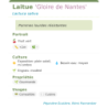 Fiche descriptive de Laitue Gloire de Nantes