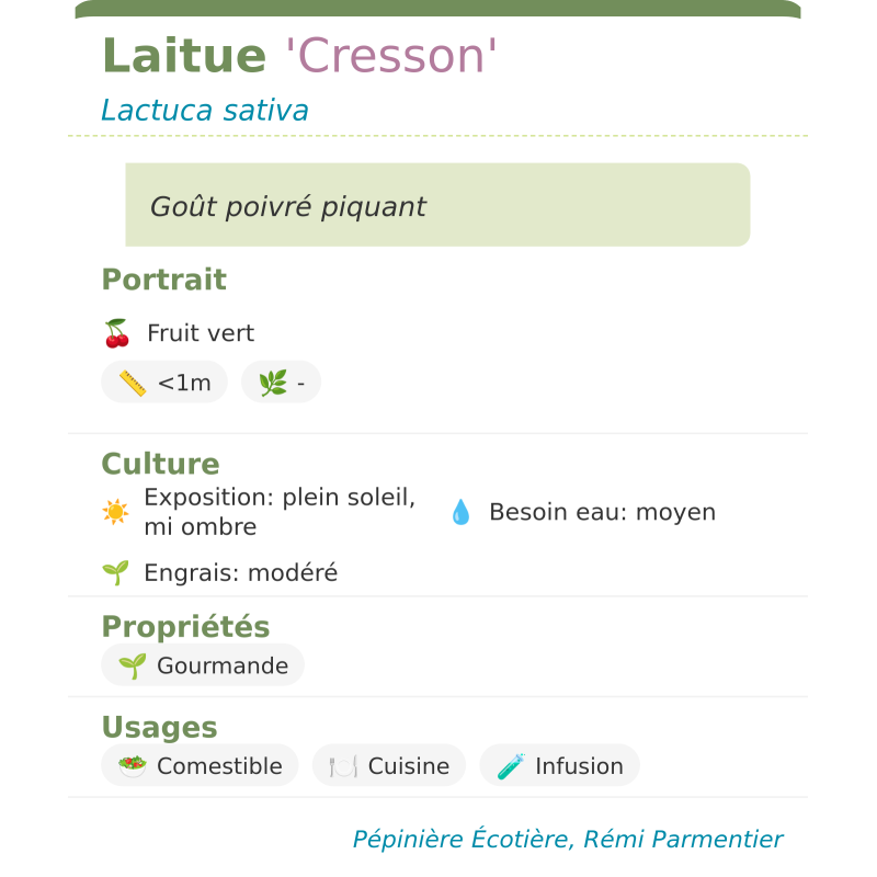 Fiche descriptive de Laitue Cresson