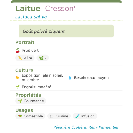 Fiche descriptive de Laitue Cresson