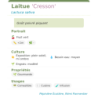 Fiche descriptive de Laitue Cresson