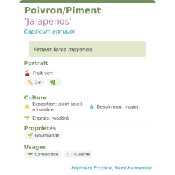 Fiche descriptive de PoivronPiment Jalapenos