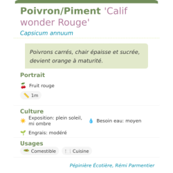 Fiche descriptive de PoivronPiment Calif wonder Rouge