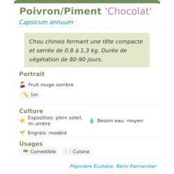 Fiche descriptive de PoivronPiment Chocolat