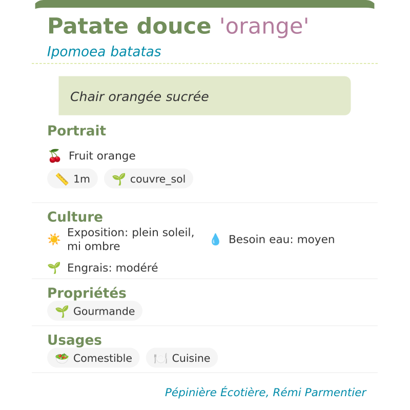 Fiche descriptive de Patate douce orange