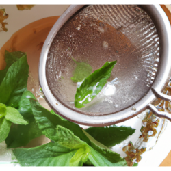  baies noires délicieuses en juillet