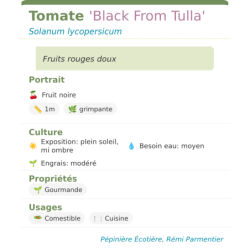 Fiche descriptive de Tomate Black From Tulla
