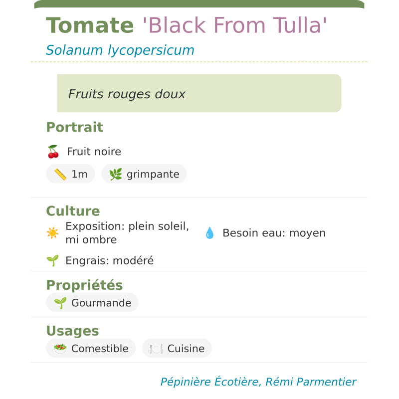 Fiche descriptive de Tomate Black From Tulla