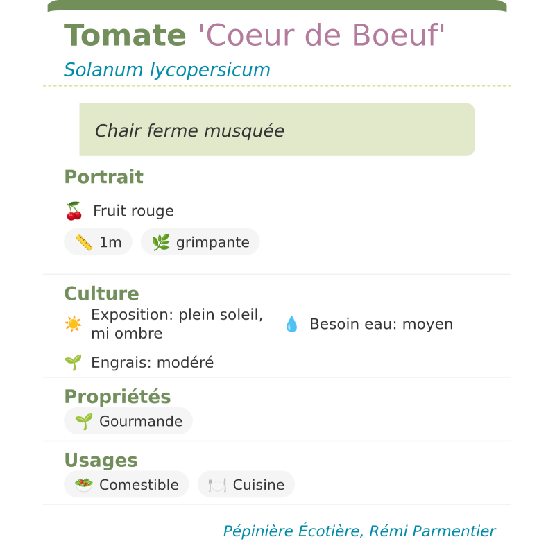 Fiche descriptive de Tomate Coeur de Boeuf