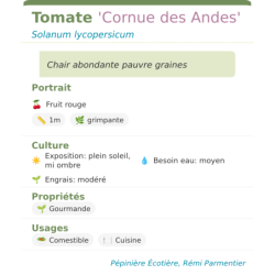 Fiche descriptive de Tomate Cornue des Andes