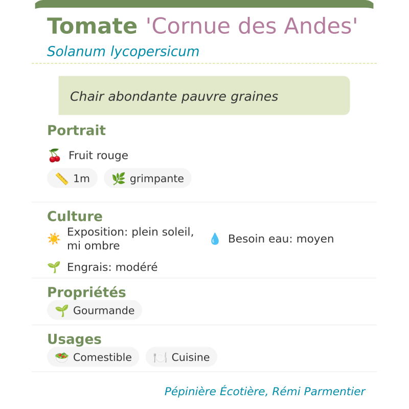 Fiche descriptive de Tomate Cornue des Andes