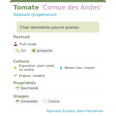 Fiche descriptive de Tomate Cornue des Andes