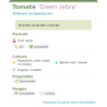 Fiche descriptive de Tomate Green zebra