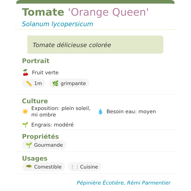Fiche descriptive de Tomate Orange Queen
