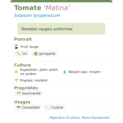 Fiche descriptive de Tomate Matina