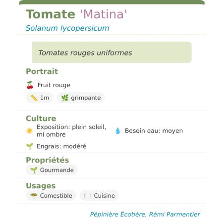 Fiche descriptive de Tomate Matina