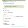 Fiche descriptive de Tomate Matina