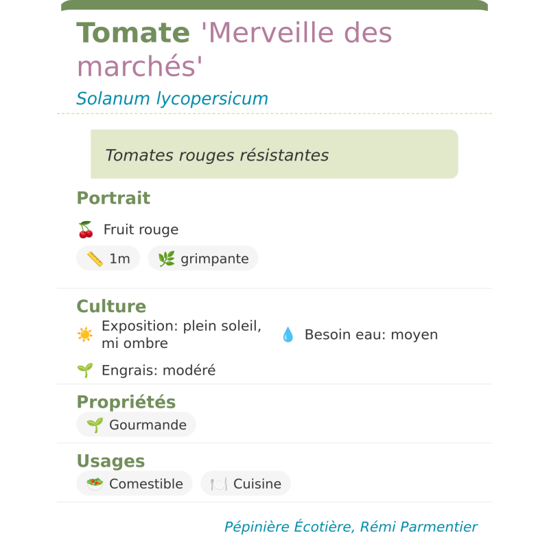 Fiche descriptive de Tomate Merveille des marchés