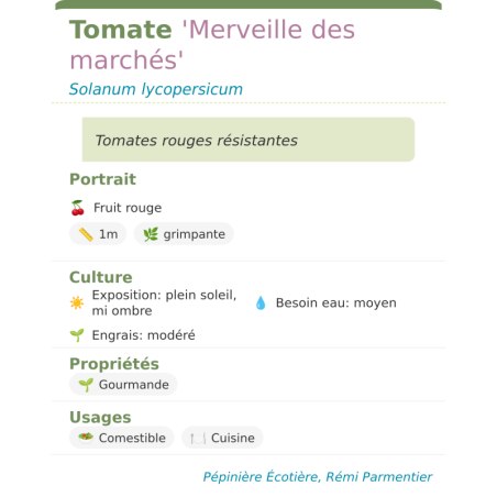 Fiche descriptive de Tomate Merveille des marchés
