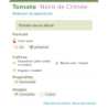 Fiche descriptive de Tomate Noire de Crimée