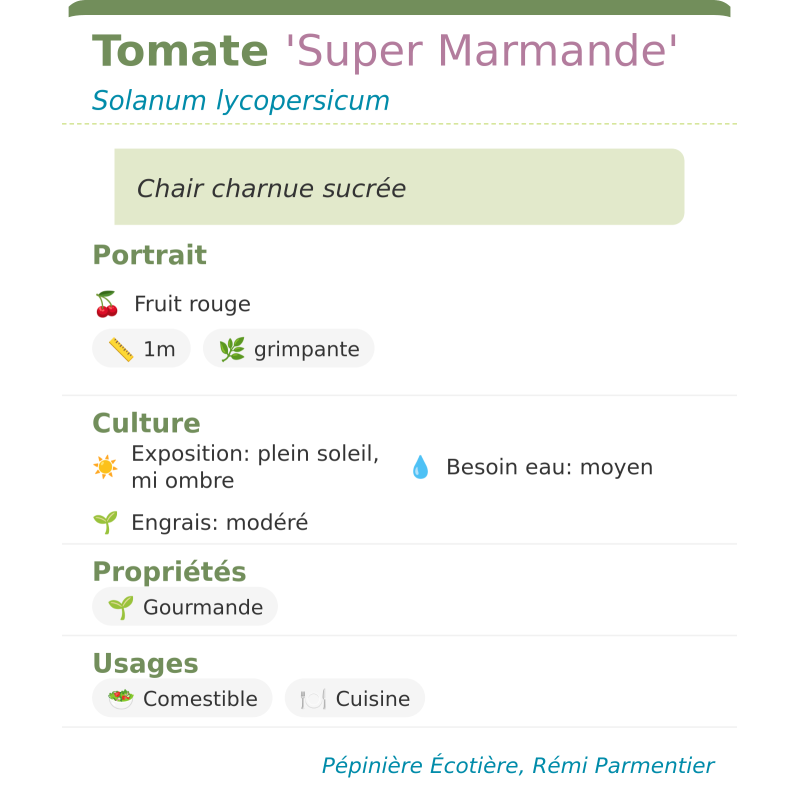 Fiche descriptive de Tomate Super Marmande