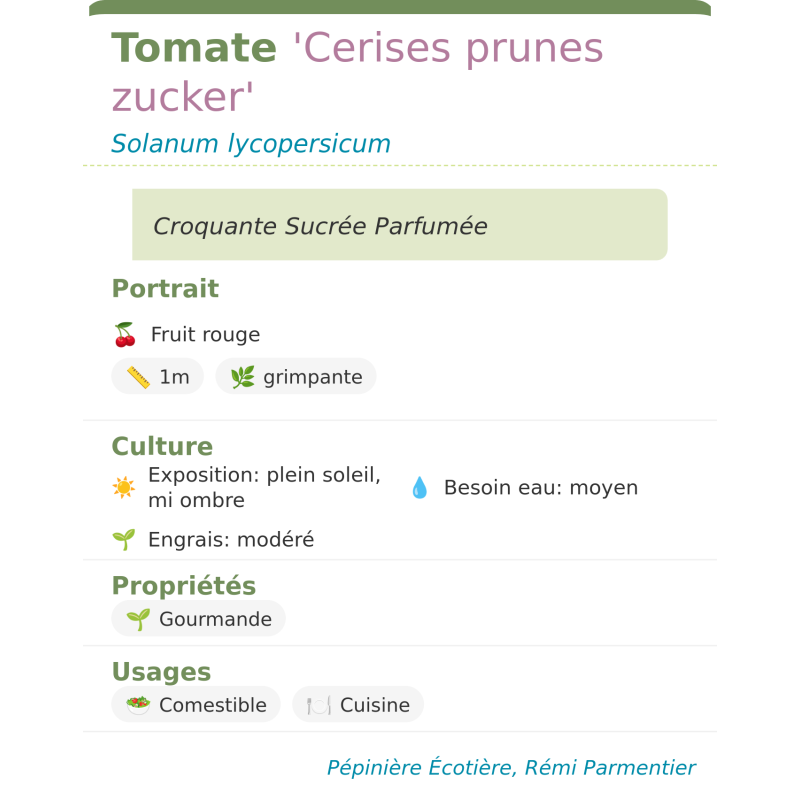 Fiche descriptive de Tomate Cerises prunes zucker