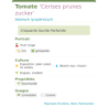 Fiche descriptive de Tomate Cerises prunes zucker