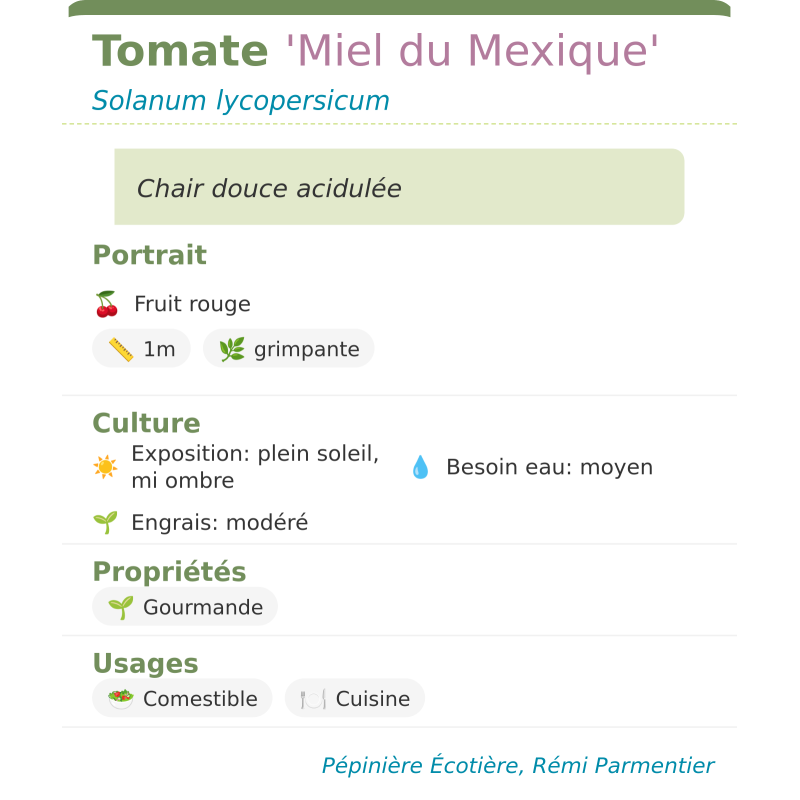 Fiche descriptive de Tomate Miel du Mexique