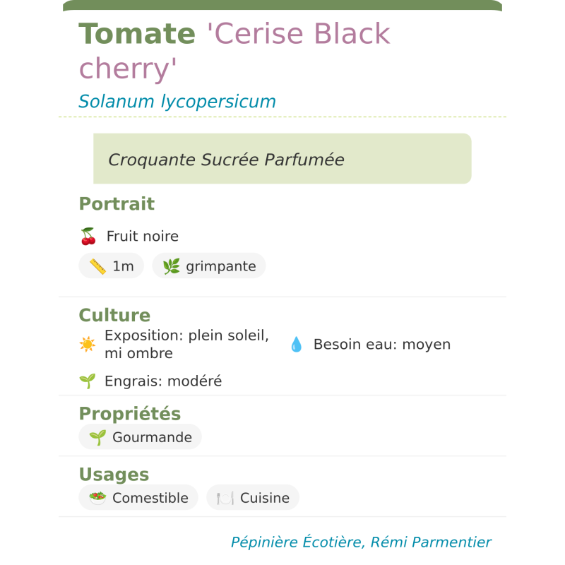 Fiche descriptive de Tomate Cerise Black cherry