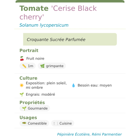 Fiche descriptive de Tomate Cerise Black cherry