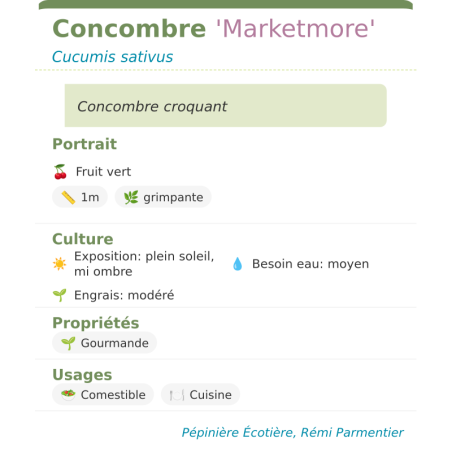 Fiche descriptive de Concombre Marketmore