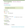 Fiche descriptive de Courgette Verte Black beauty