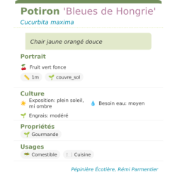 Fiche descriptive de Potiron Bleues de Hongrie