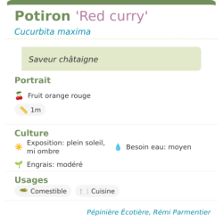 Fiche descriptive de Potiron Red curry